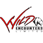 Wild Encounter's logo. Features a bear.